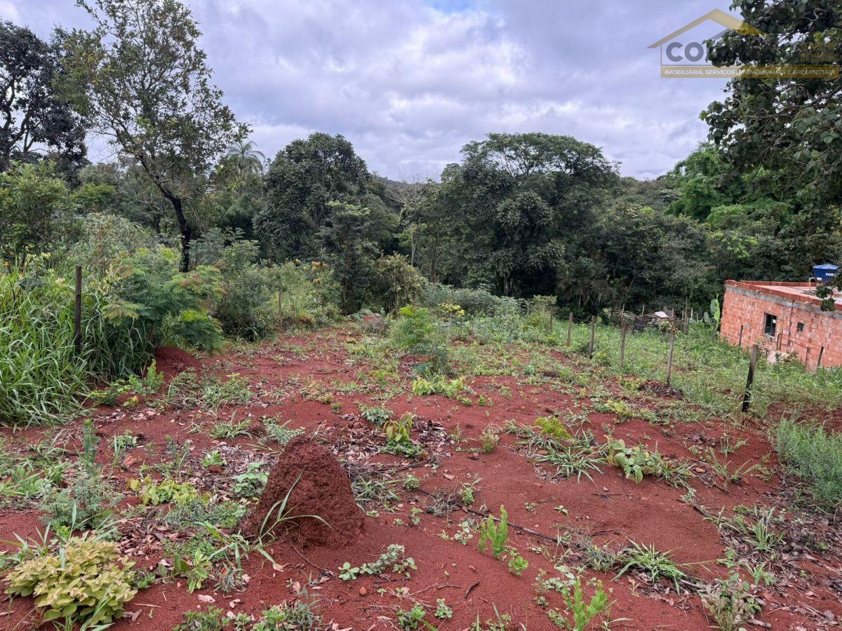 WhatsApp Image 2026-02-08 at 16.03.19 (4).jpeg